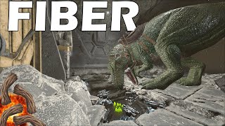 ARK But its a 10000X FIBERCRAFT and We Raid Center Pearl Cave  Ark PvP [upl. by Leis]