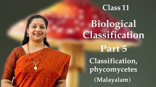 NEET Kingdom Fungi  Classification Phycomycetes മലയാളം [upl. by Navak]