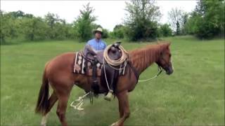 John Baar and Danica Demonstrate the Circling Game [upl. by Wakeen]