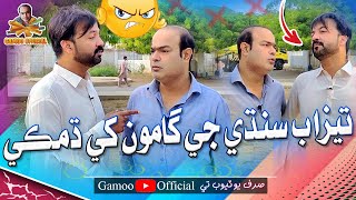 Tezaab Sindhi Ji Gamoo Khe Damki  Asif Pahore Gamoo  Hyder Qadri  Gamoo New Video  2023 [upl. by Nyladgam]