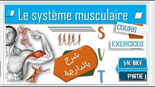 SVT ❤Le système musculaire ❤شرح بالدارجة ❤  partie 1  3AC❤ [upl. by Flavius]