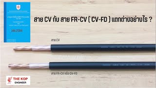 สาย CV กับสาย FRCV CVFD แตกต่างกันอย่างไร [upl. by Nol743]