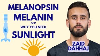 How Sunlight Helps you Lose Weight  Zaid KDahhaj [upl. by Rabelais285]