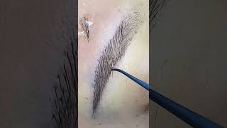 eyebrow cejas alis 眉毛 бровь 눈썹 hair eyebrowsonfleek eyebrowshaping hairstyle 植眉 [upl. by Tuddor]