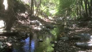 Gabrielino Trail picnic 882020 [upl. by Leahicm408]