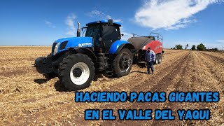 Tractor New Holland t7060 haciendo pacas gigantes en el Valle del Yaqui  Empacadora Case [upl. by Ennaylime]