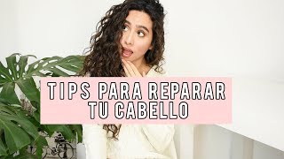 REPARA Y CUIDA TUS RIZOS DAÑADOS  TIPS FÁCILES Y SEGUROS PARA RECUPERAR EL CABELLO RIZADO [upl. by Stclair]