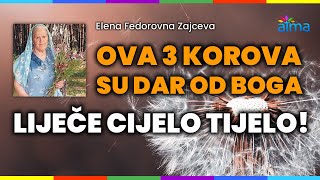 OVA 3 quotKOROVAquot SU DAR OD BOGA  LIJEČE CIJELO TIJELO  ATMA [upl. by Wil]