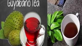 Guyabano Tea Side Effects You Must Know [upl. by Atolrac]