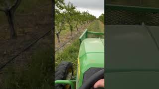 John Deere 5060E with brush hog mower in action [upl. by Dahs]