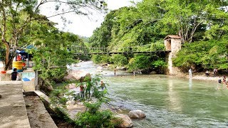 Puente la Hamaca Santiago N de S Colombia [upl. by Lleira658]