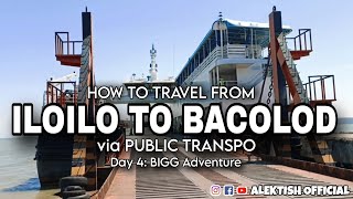 How to Travel from ILOILO TO BACOLOD using PUBLIC TRANSPORTATION  DAY 4 BIGG Adventure  alektish [upl. by Spiers497]