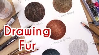 5 METHODS TO DRAW REALISTIC FUR Coloured Pencil Drawing Tutorial Episode 4 [upl. by Fulks59]