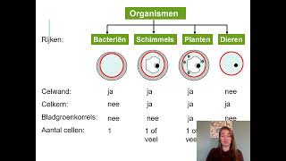 Samenvatting Ordening amp Evolutie 3 VMBO Biologie Voor Jou MAX [upl. by Gratt]