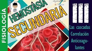 HEMOSTASIA SECUNDARIA TEORIA ANTERIOR DE LA COAGULACIÓN CASCADAS FISIOLOGÍA SanguineaP3 [upl. by Marchall]