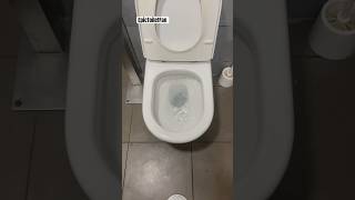 Newer Roca Toilet and a leaky Roca Sink￼ [upl. by Yreva]