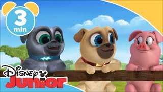 Valpvänner  Leriga små lermonster  Disney Junior Sverige [upl. by Blanch875]