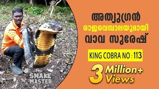 Wow 13 feet long 113th King Cobra rescued  Vava Suresh  Snake Master  Latest episode [upl. by Jackelyn]