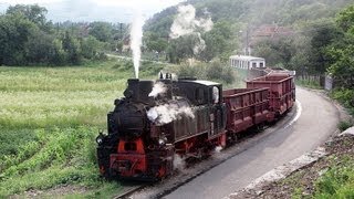 Schmalspurbahn Brad  Criscior HD Narrow Gauge Steam Railway Romania [upl. by Iam]