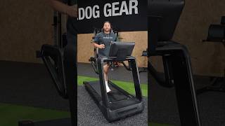 Bulldog Gear CommercialGrade Motorised Treadmill [upl. by Naihtniroc]