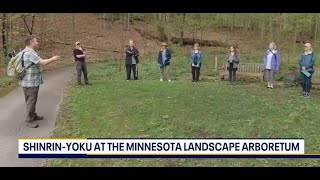 Forest Bathing at the U of M Landscape Arboretum [upl. by Ruhtracam420]