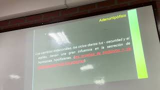 ENDOCRINOLOGIA adenohipofisis part2  hipopituitarismo 160824 [upl. by Chong]