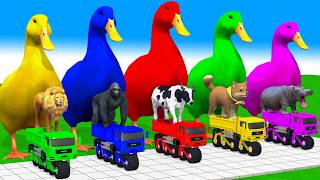 5 Giant Duck Cartoon Cow Mammoth Elephant Lion Paint Wild Animals Crossing Fountain Animation [upl. by Rochella50]