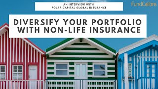 Diversifying your portfolio investing in the nonlife insurance sector [upl. by Asilam807]