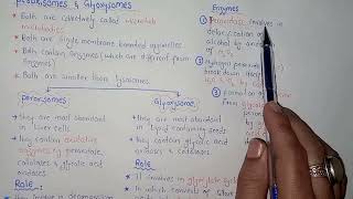 Peroxisomes  Glyoxysome  Federal amp KPK Board  Class 11 Biology [upl. by Irwinn]