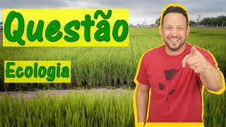 Ecologia  Questão  Cadeia Alimentar ou Trófica  Níveis Tróficos  Fatores Bióticos [upl. by Ameen]