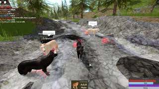 Cenozoic Survival Roblox Wolf Pack [upl. by Adekam]