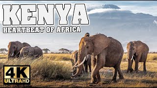 Kenya  Heartbeat of Africa and the Maasai 4K [upl. by Eanahc732]