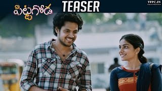 Pittagoda Teaser  Official  Vishwadev Rachakonda  Punarnavi Bhupalam  TFPC [upl. by Ueihtam]