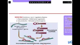 Tumor progression Aneuploidy  Micro RNA  Epigenetic Modifications [upl. by Aman]