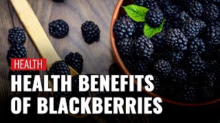 Blackberries Benefits Know Why You Should Eat Blackberries During Pregnancy [upl. by Saleem]