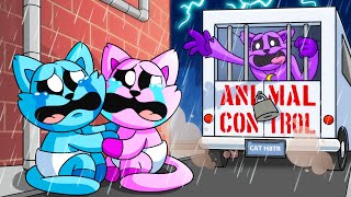 CATNAP is TAKEN Cartoon Animation [upl. by Einnal89]