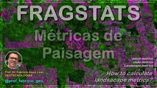 Tutorial Fragstats  Aprenda como calcular métricas de paisagem [upl. by Kopans]