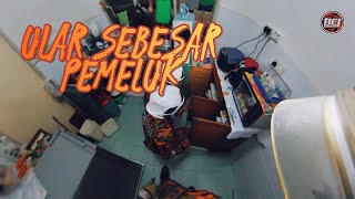 Ular Sebesar Pemeluk  BCJ29 • The Ultimate Guide to Fire Fighters [upl. by Platas]