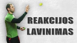 Reakcijos lavinimas [upl. by Anawait]