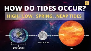 How Do Tides Occur Low tide High Tide Spring Tide Neap Tide [upl. by Arakal950]