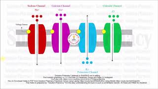 Receptor Pharmacology  What is Receptor  Receptors in Pharmacology  Classification of Receptors [upl. by Nolyag]