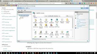 access controll allow origin on IIS [upl. by Latsryc528]