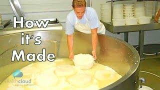 How Whey Protein is Made  Step by Step Behind the Maker [upl. by Notloc]