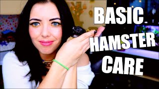 BASIC HAMSTER CARE  HAMSTER CARE GUIDE [upl. by Chenay]