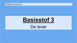 Havo 5  Gaswisseling en uitscheiding  Basisstof 3 De lever [upl. by Ancilin692]