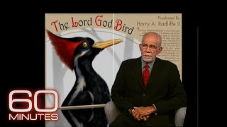 60 Minutes Archive The Lord God Bird [upl. by Shaylah853]