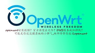 openwrt安装报错？dns服务起不来？林师傅为你解决openwrt各种疑难杂症！ [upl. by Nrublim]