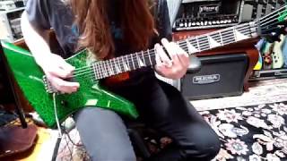 Brandon Ellis  Verminous Riff Playthrough [upl. by Bridgette]