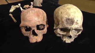 Oldest Homo sapiens found [upl. by Erehc]