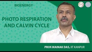 Photo respiration and Calvin Cycle [upl. by Niknar]